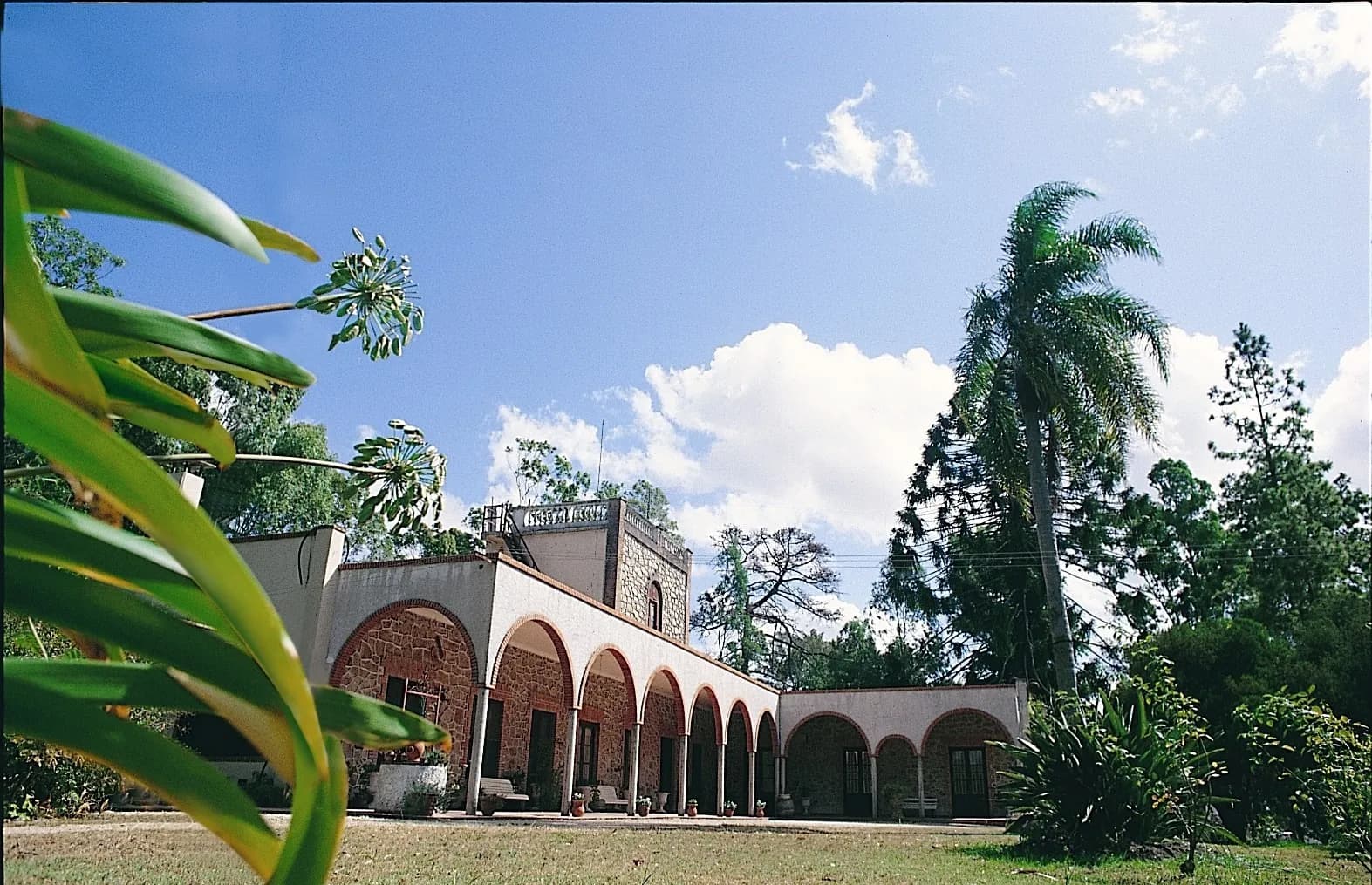 Bodega Viña Varela Zarranz