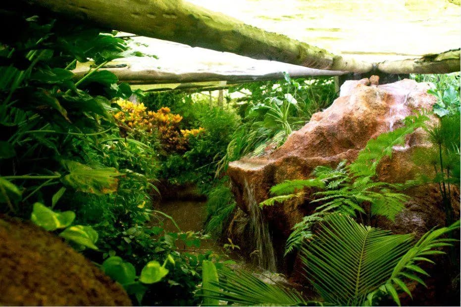 Parque Biomas